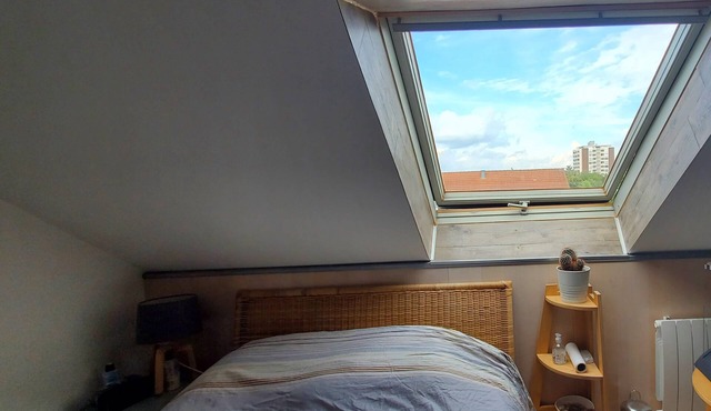 2-room duplex fully equipped Kehl quiet area Rhine balcony Black Forest view