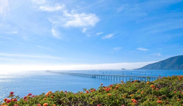 2-Unit Ocean Escape! Kitchen & Balcony | Outdoor Pool, Gym, Free Parking!
