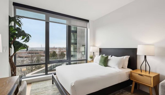 2 Units | Central Apartment w/Kitchen | Family Comfort & Pet-Friendly Stays