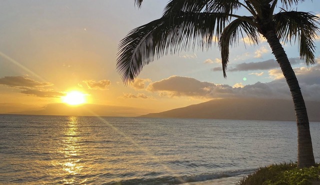 2BR/1BA BEACHFRONT GREAT LOCATION EXCEPTIONAL REVIEWS