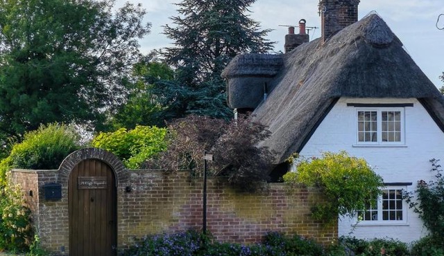 2BR Cottage for up to 2 adults, 2 children & dogs