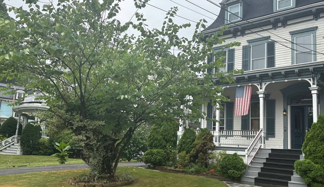 2Br Private Victorian Apartment in City location on half acre Sleeps 5