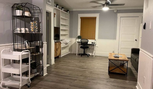 (3) 320 Unit #3 · Downtown St. Pete/Historic Old NE #3