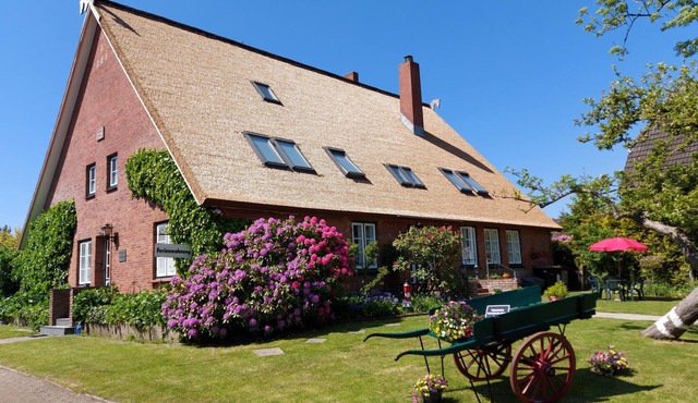 3 * apartment in the comfort of an old thatched farmhouse from 1746