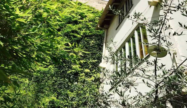 3-bedroom studio in a courtyard in the heart of Paris.