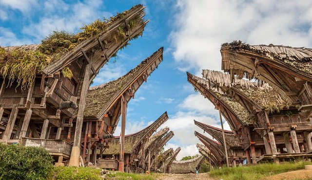 3-Day Authentic Toraja Culture Tour from Makassar
