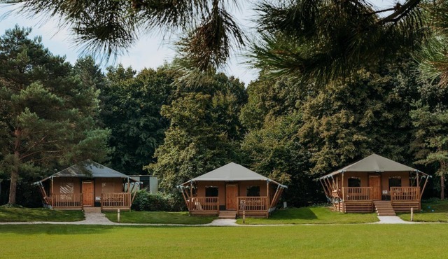 3 glamping lodges side by side