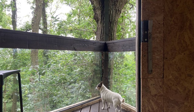 3 Guests - Pet Friendly - Grid Tree-house