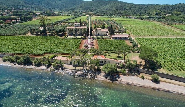 3 Hours by e-bike with Wine Tour at Tenuta la Chiusa