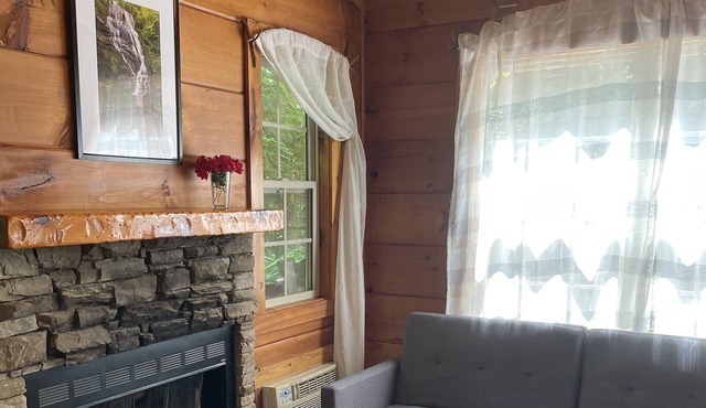 3 Secluded Cabin-Fireplace- Hot Tub in Saluda NC