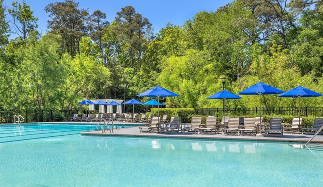 3 Serene 1BR Suites: Kitchen & Nature Views near Kitty Hawk Woods Reserve