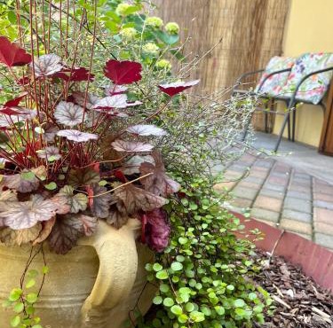 30&Lode, Mini in zona tranquilla