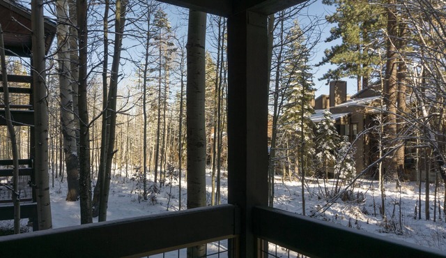 3130 Aspen Grove