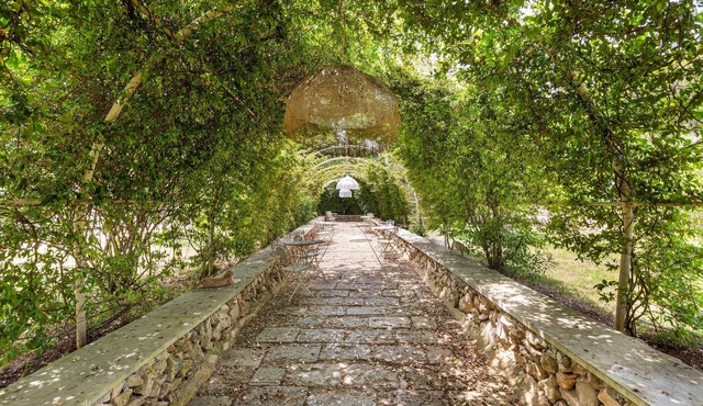 3373 Masseria Cucuruzza - Camera Maria