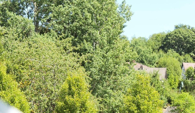 4-bed vacation apartment Zur Dietzenley - Holiday apartment Gerolstein