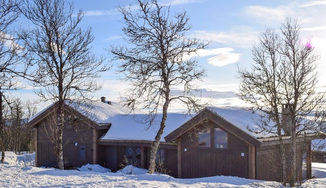 4 bedroom accommodation in Geilo