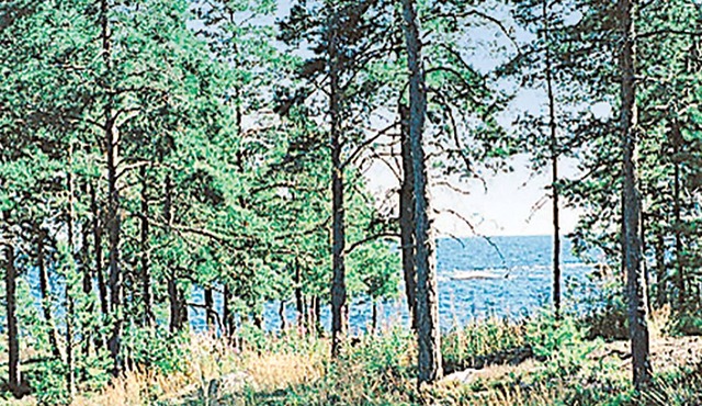 4 bedroom accommodation in Hammarö