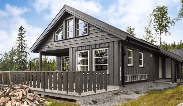 4 bedroom pet friendly home in Eggedal