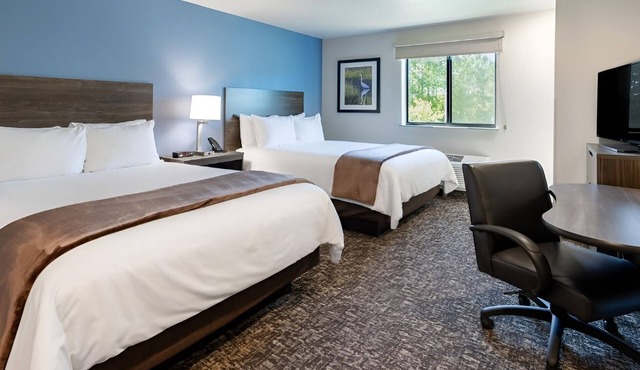 4 Bright and Inviting Rooms with Full Kitchen to Cook & Relax - Pet Friendly!