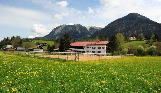 4 lavender - the farmyard