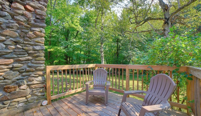 4 Mi to Okemo Mountain Resort: Ludlow Cottage