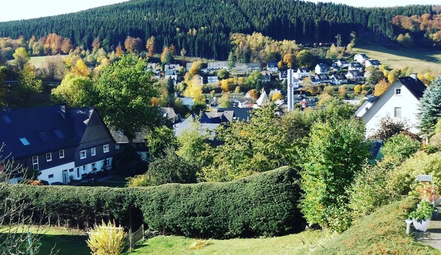 4* star vacation apartment "Apartment Sunlife Winterberg"