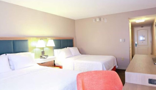 4 Tranquil Stays - Wesley Chapel Getaway Near I-75 andTampa Attractions
