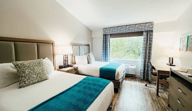 4 Units | Bayfront Adventure: Scuba, Snorkeling & Kayaking from Private Beach