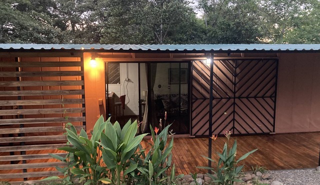 40' Tasteful container tucked away in the Jungle!