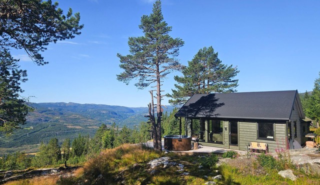 5 bedroom stunning home in Eggedal