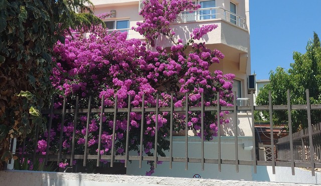 5-bedroom villa in fabulous Utjeha with AC, WiFi