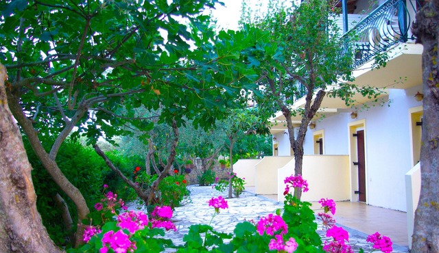 5 Ground floor studios and apartments with private front garden for your team