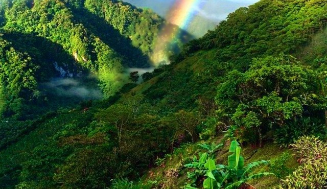 5 Star Charming Private Mountain Bungalow w/Volcano View Perfect Climate Utopia