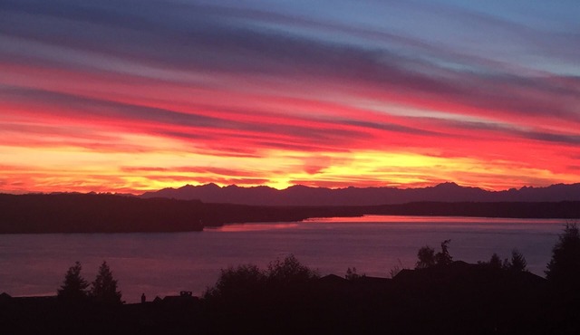 5BR Sweeping View Puget Sound <1 Mile to Chambers Bay U.S. Open Golf Course