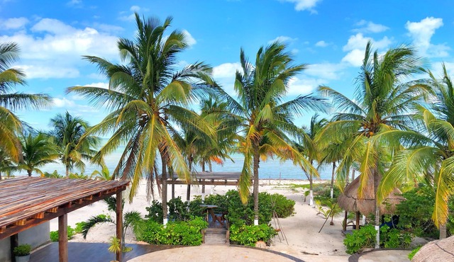 6 BDR - Spectacular beachfront home