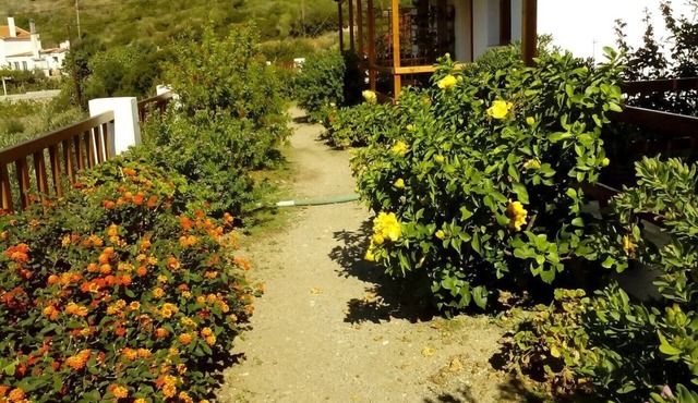 #7 Drakano Studios, for nature lovers