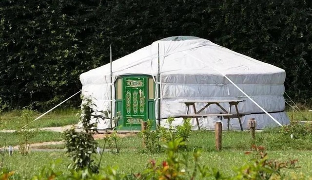 7-Person Yurt