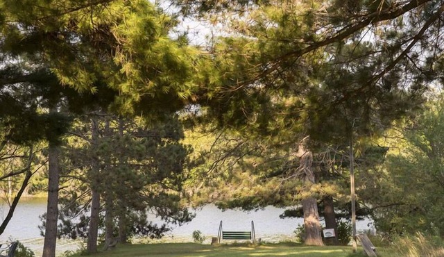 8* Riverfront! 2 bedroom cabin! Adventure!