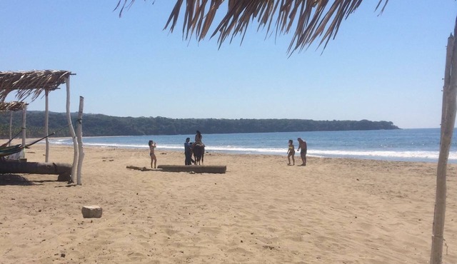 #8 Shared Pool, 3 Bedroom/3 Bathroom, Private beach ramada WIFI SKY