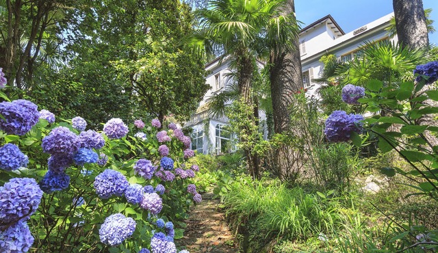 800m2 SPRAWLING HISTORIC MANSION VILLA D'EPOCA OF 17TH CENT ON LAKE COMO