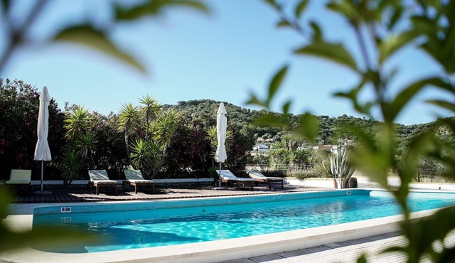 (8PAX) Gem with castle view, on the most beautiful and starred wine region