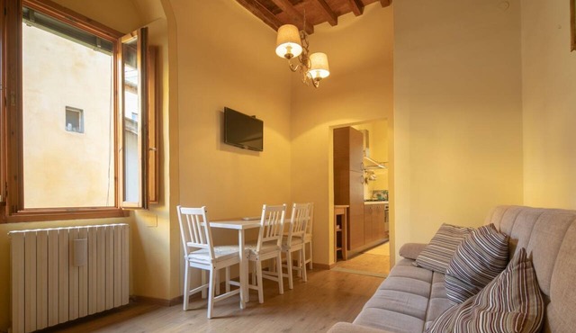 A beautiful apartment a stone's throw from Piazza Pitti by Mmega