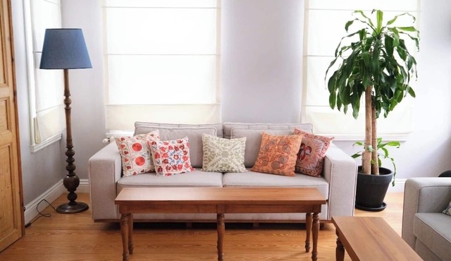 A beautiful Historic Mansion in beautiful Istanbul. Spacious 3-bedroom building