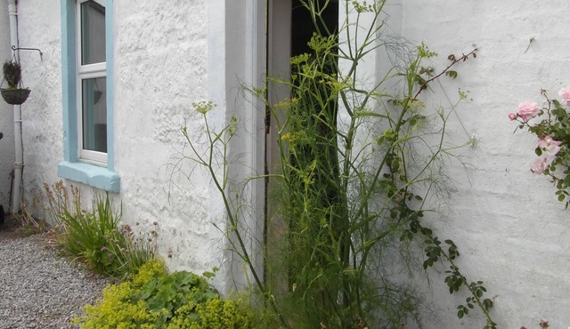 A fabulous seaside cottage in an idyllic position with stunning views all around and a 5 minute walk