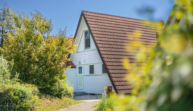 A-frame house (Type 8) - NDW 76