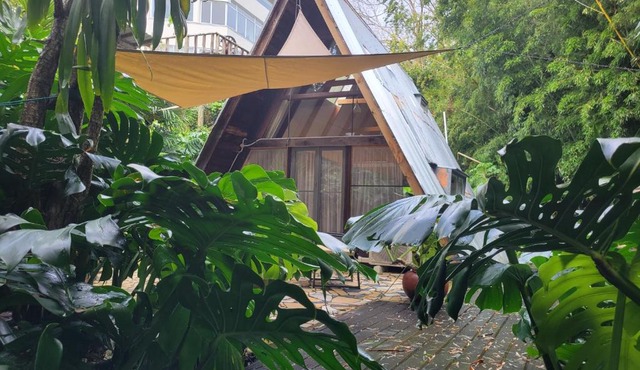A-frame Studio in Parnell