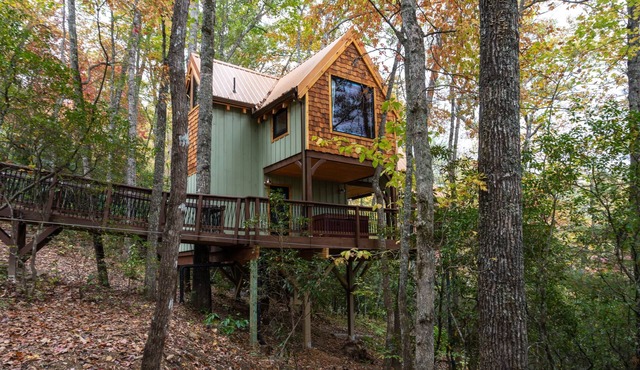 A-Frame Treehouse with Giant Treetop Net - The Carpentree
