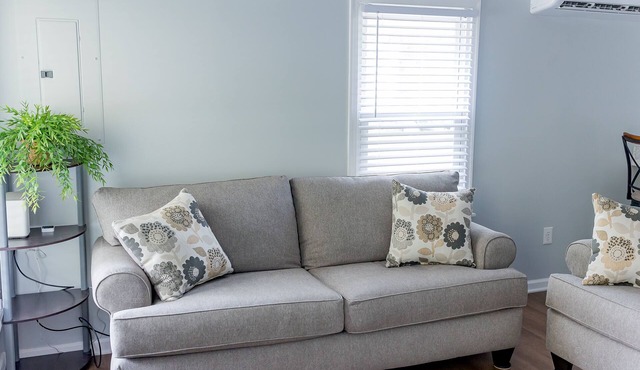 A fully remodeled family friendly home close to Buena Vista and Lexington