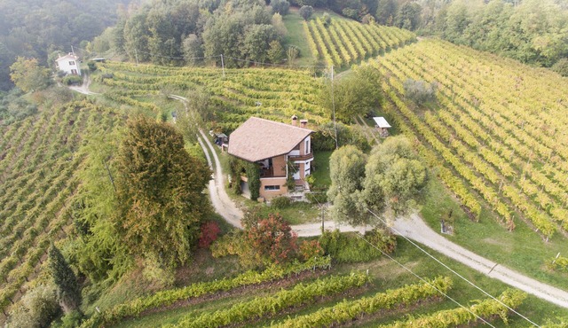 A house in the vineyard