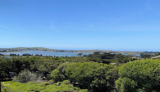 A House With a Panoramic View of The Bay
